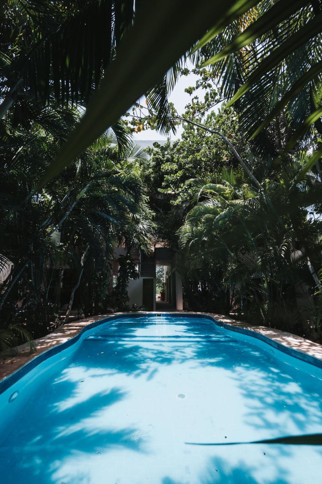 Hotel Casa Barbara Holbox Eksteriør bilde