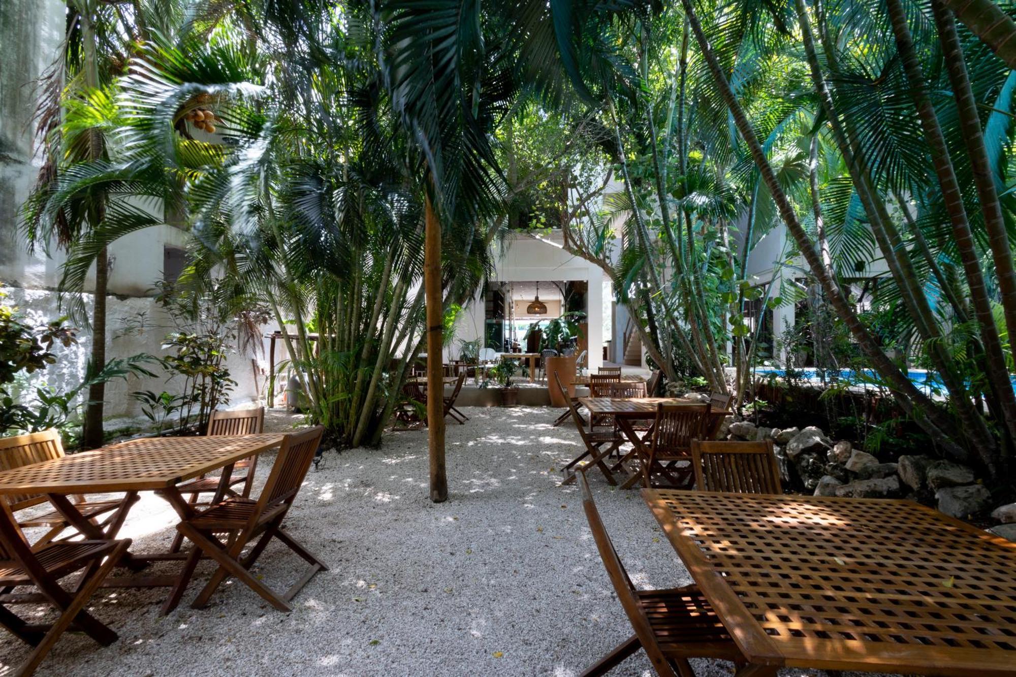Hotel Casa Barbara Holbox Eksteriør bilde