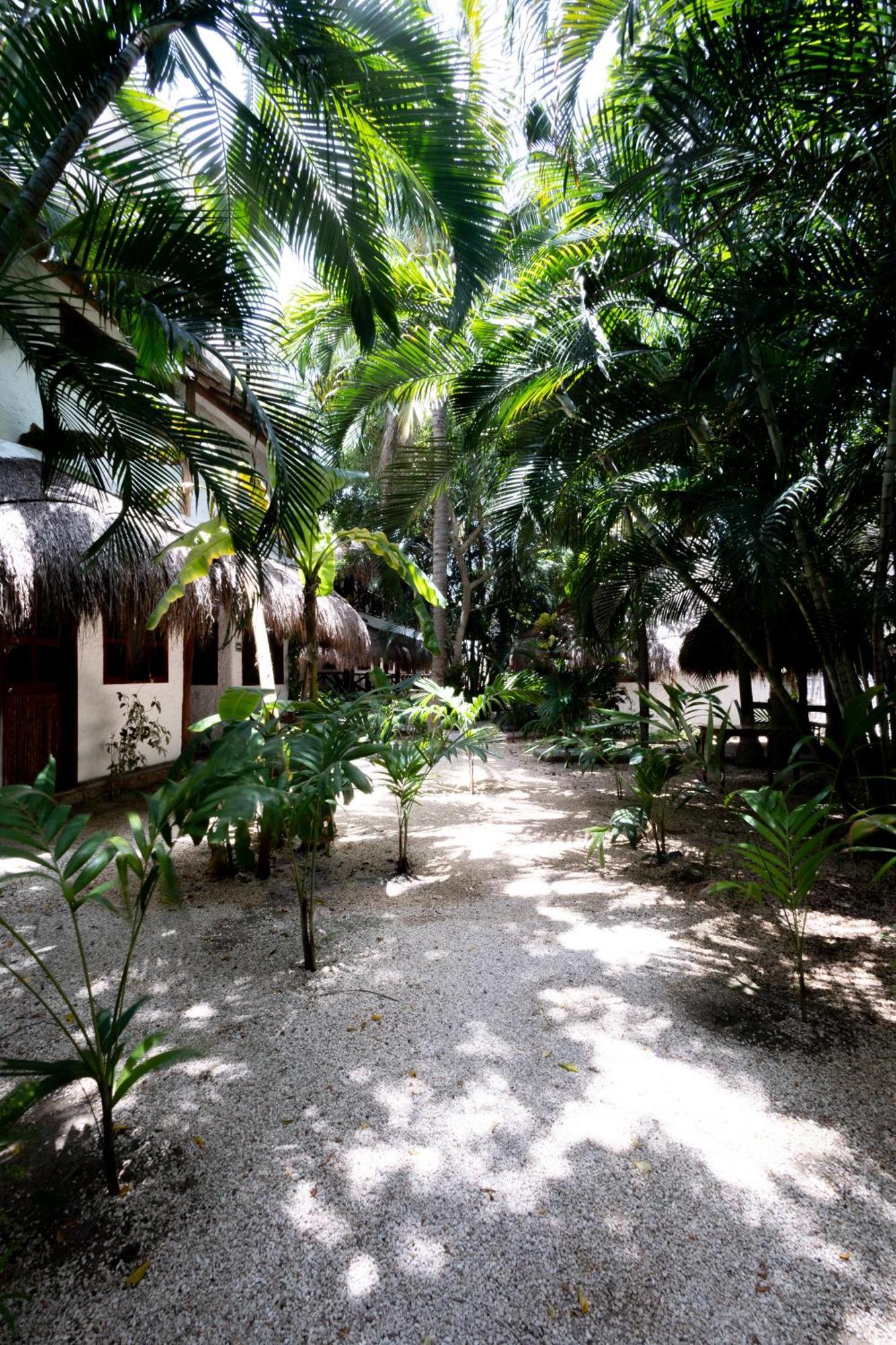 Hotel Casa Barbara Holbox Eksteriør bilde