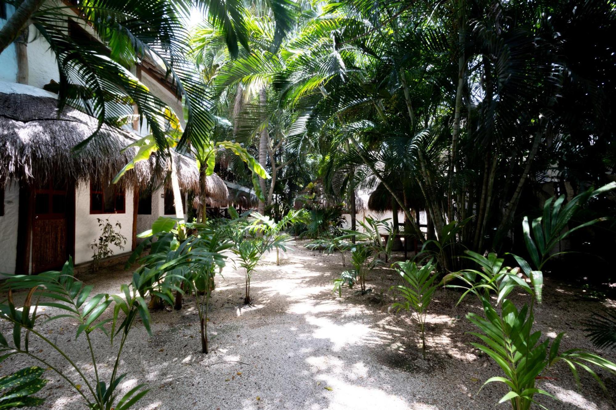 Hotel Casa Barbara Holbox Eksteriør bilde