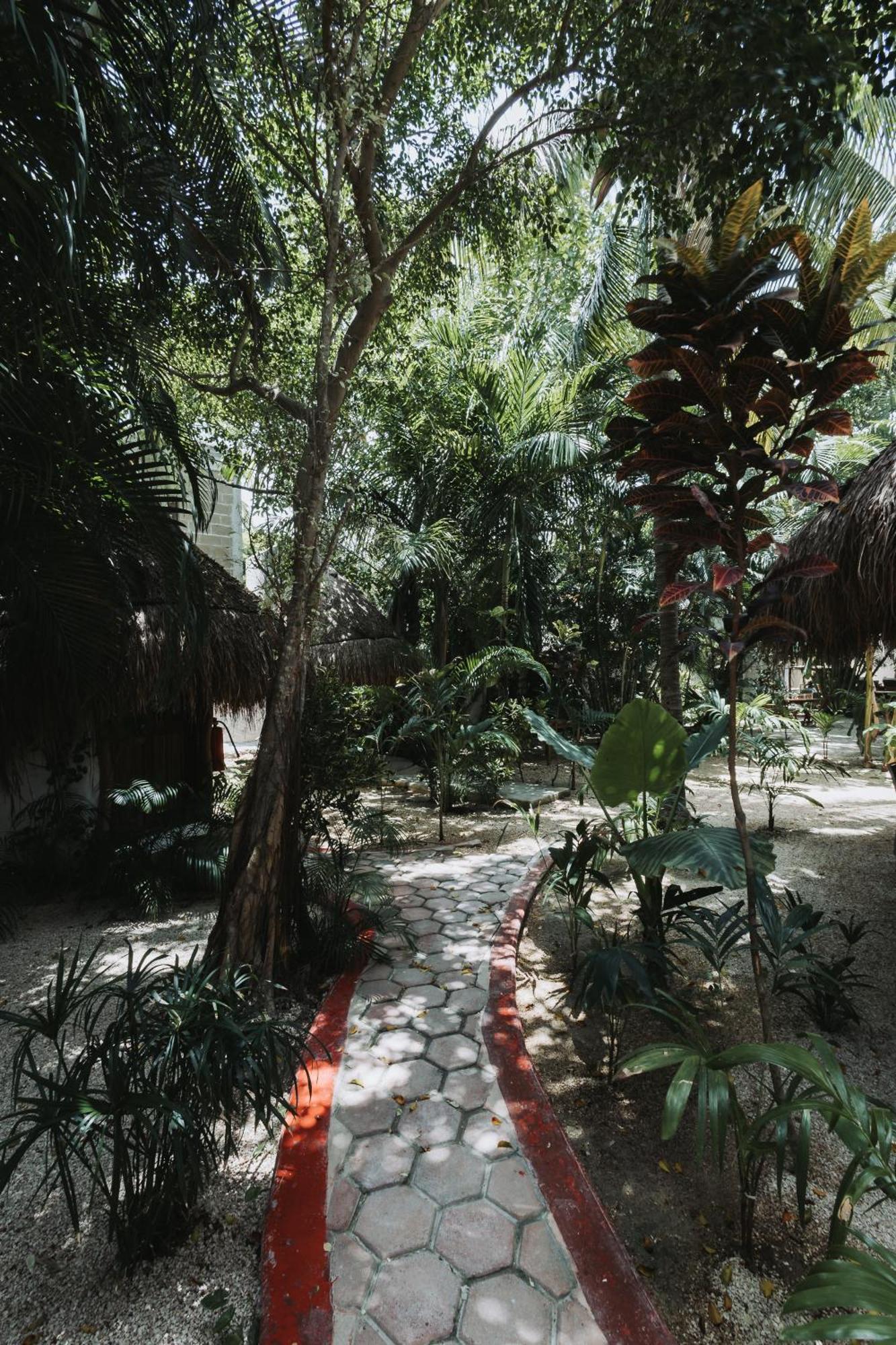 Hotel Casa Barbara Holbox Eksteriør bilde