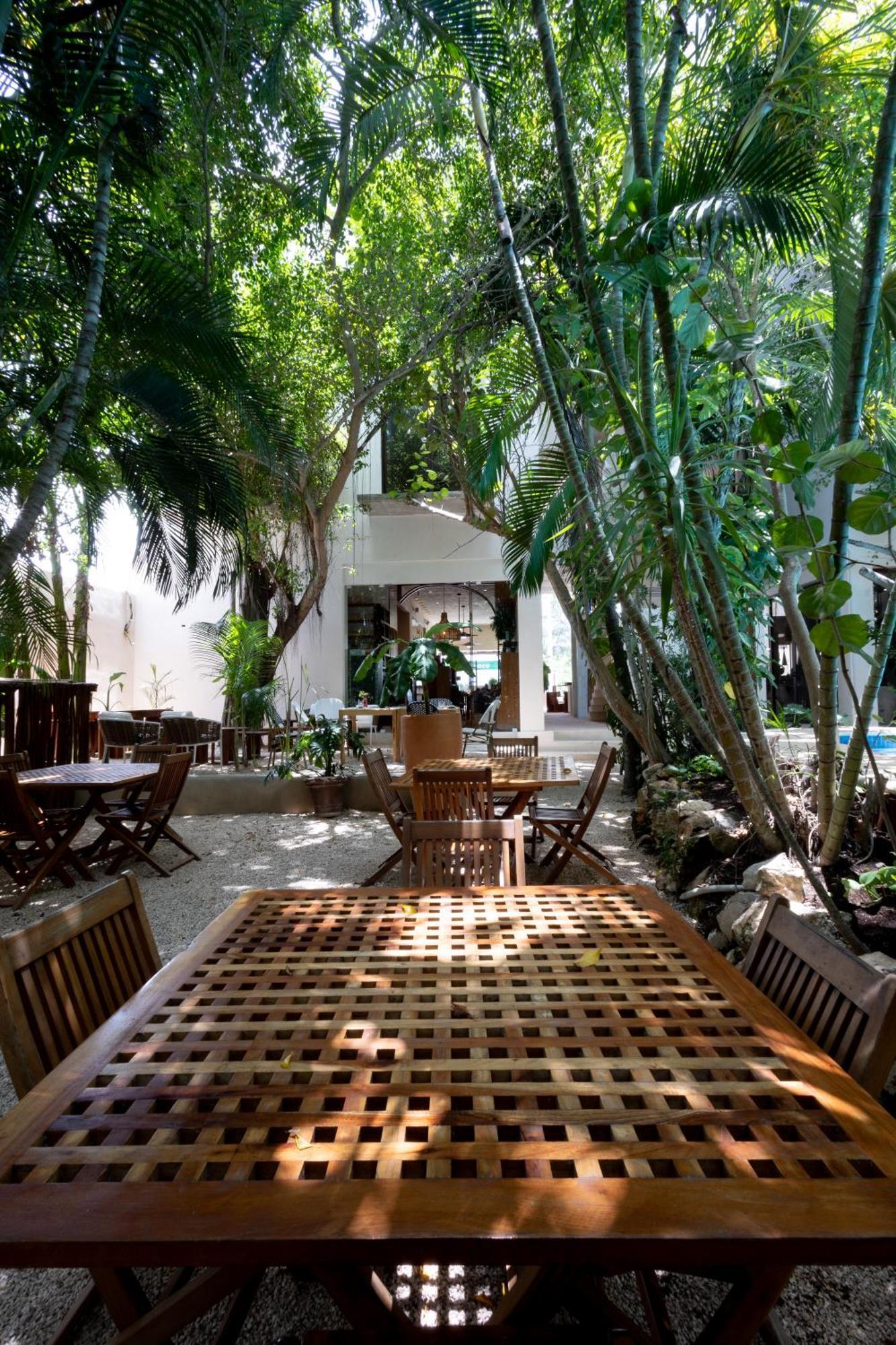 Hotel Casa Barbara Holbox Eksteriør bilde