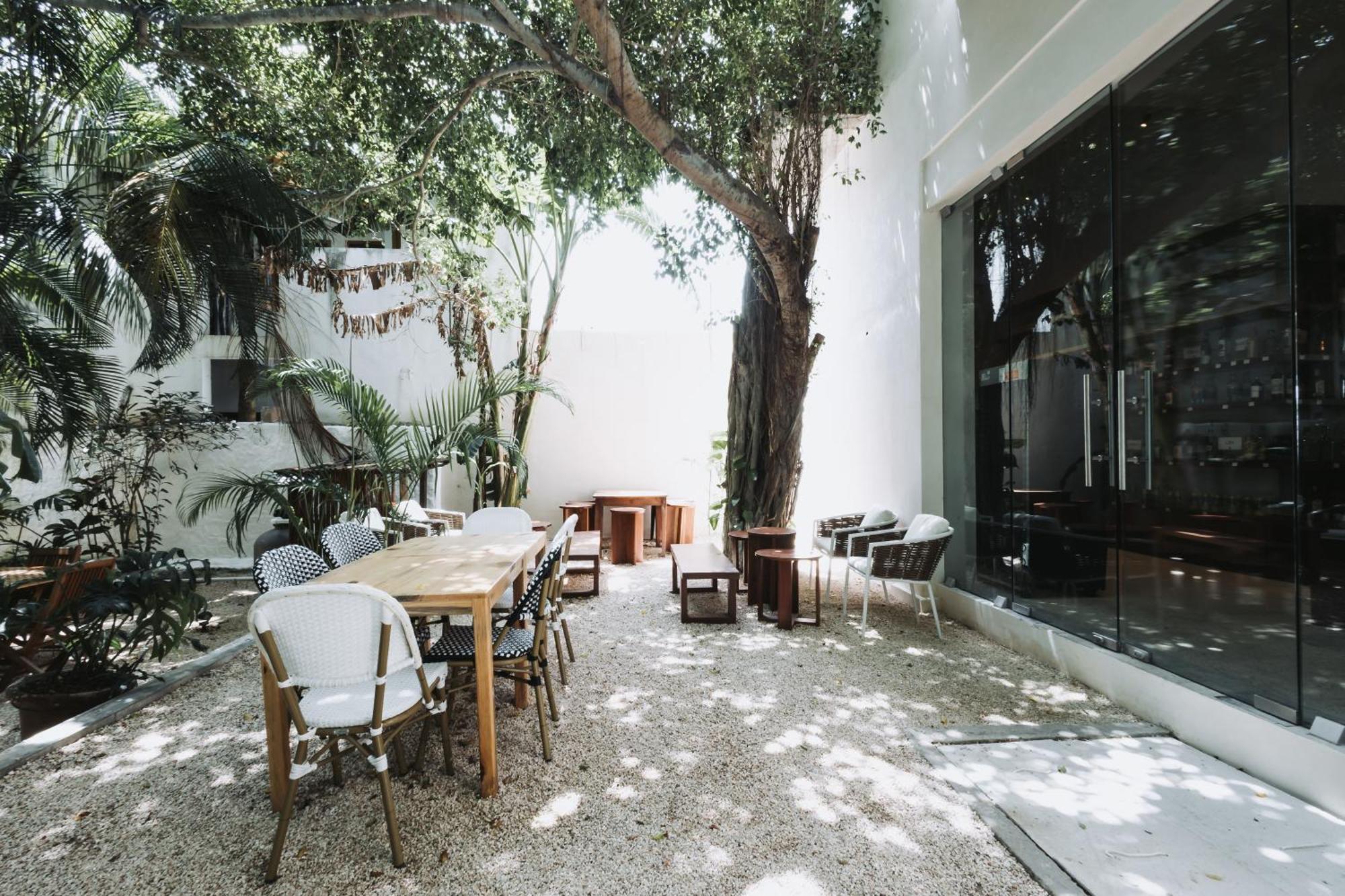Hotel Casa Barbara Holbox Eksteriør bilde