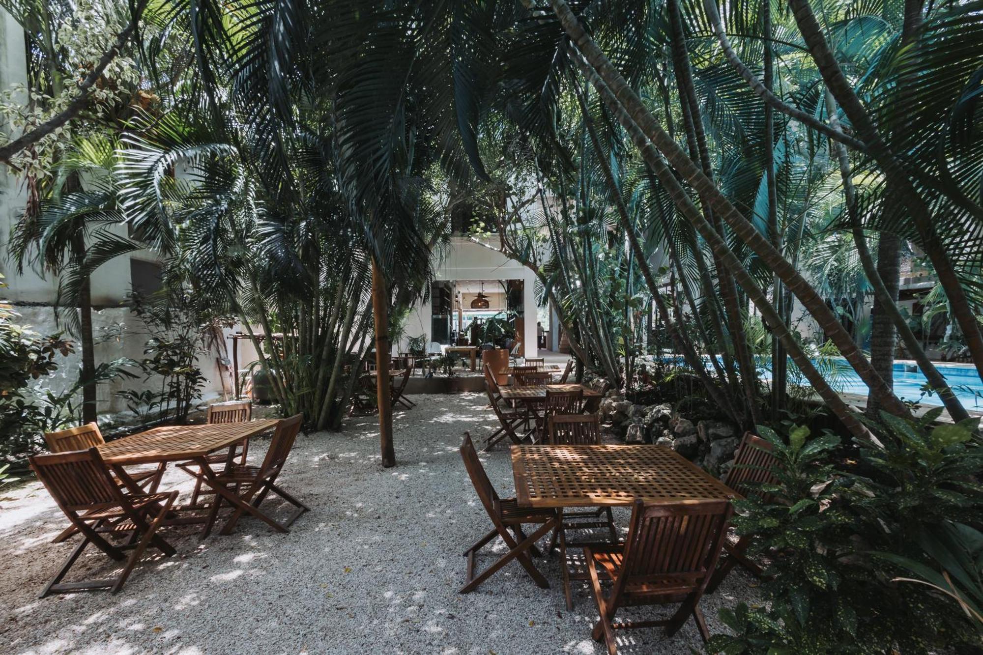 Hotel Casa Barbara Holbox Eksteriør bilde