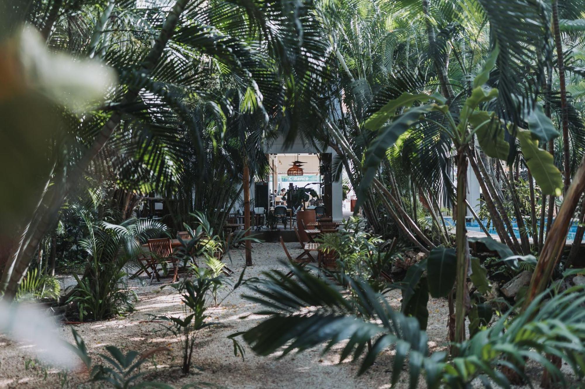 Hotel Casa Barbara Holbox Eksteriør bilde